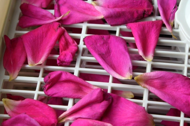 Flower Petals