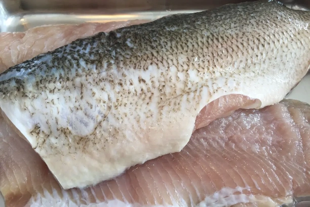 Whitefish